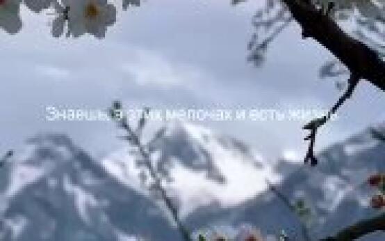 Умиротворение ловишь в горах Сочи каждую веснуПодписаться | …