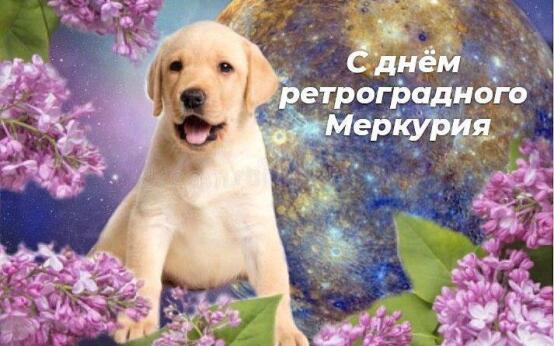 Ретроградный Меркурий начался сегодня и продлится до 11 авгу…