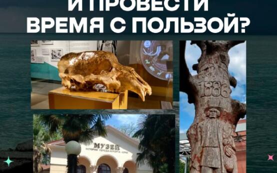 Где в Сочи спрятаться от дождя и провести время с пользой? М…