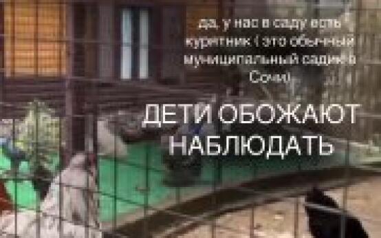 Свой курятник есть в муниципальном детском садике Подписатьс…