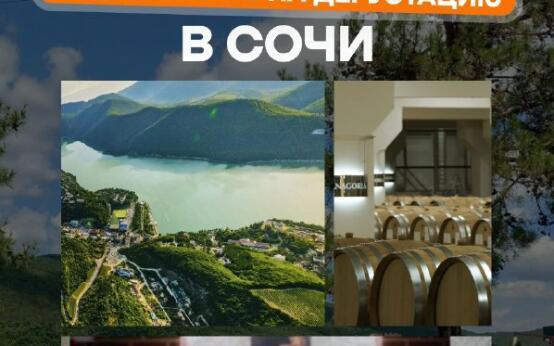 Винный маршрут в Сочи: куда поехать на дегустациюВинодельня …