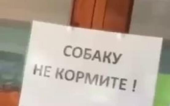 Оказывается, это был коргиПодписаться | Прислать новость…