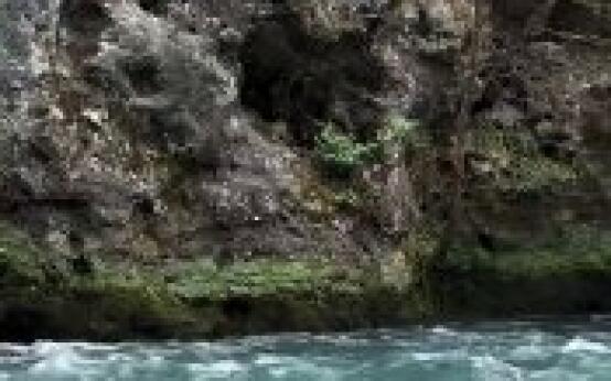 Любители покупаться в ледяной воде горной реки есть среди ва…