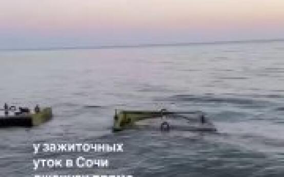 Сочинские уточки тоже живут свою лучшую жизньПодписаться | П…