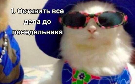 Лучший план на сегодняшний теплый денек в СочиПодписаться | …