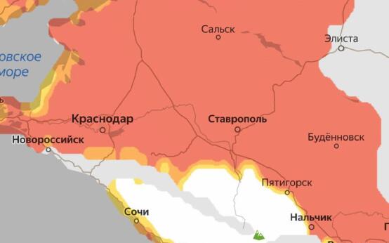 Сезон цветения амброзии — одного из самых опасных аллергенов…