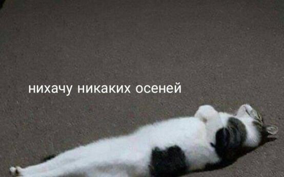 Тяжело в это поверить, но…Всех с первым днем осени!Подписать…