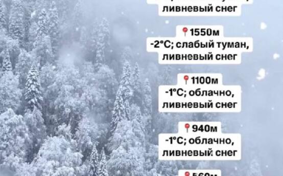 Мощный снегопад в горах Сочи начался ночью и продлится до 18…