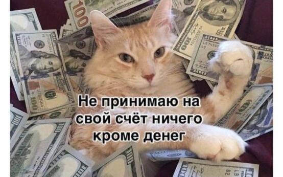 Зумеры чаще выбирают деньги вместо любви, показало исследова…