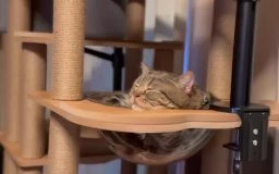 Доброе утро, друзья!Сегодня до +20 градусов днем, облачно.По…