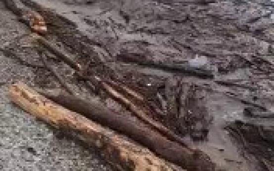 Вот так сейчас местами выглядит побережье Черного моря в Туа…