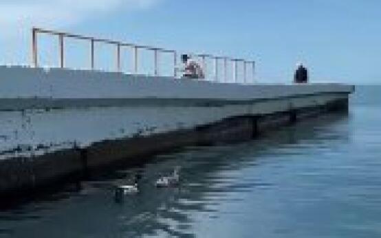 Уточки отправились в морское плавание Подписаться | Прислать…