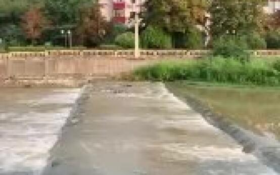 Сегодняшнее свежее утро после вчерашних дождейПодписаться | …
